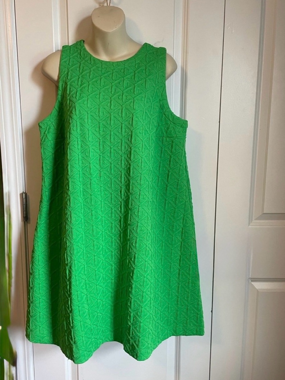 Crown & Ivy Green Textured Sleeveless A-Line Dress